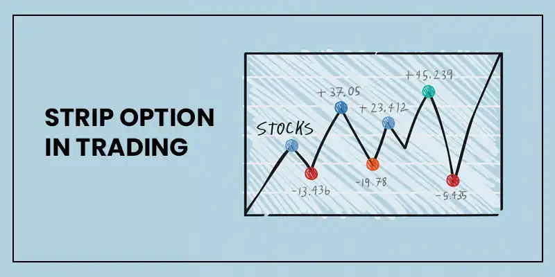 Strip Option Trading